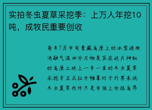 实拍冬虫夏草采挖季：上万人年挖10吨，成牧民重要创收