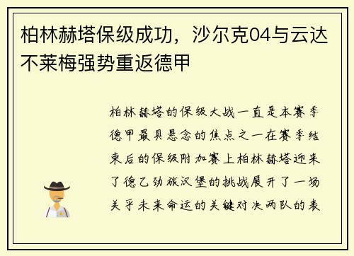 柏林赫塔保级成功，沙尔克04与云达不莱梅强势重返德甲